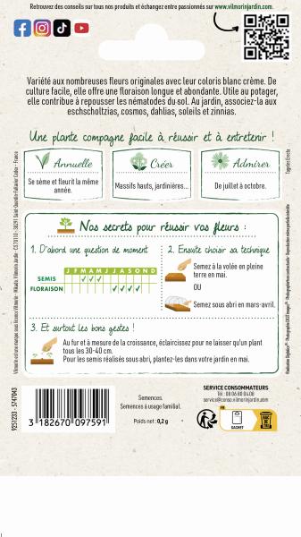 Fleurs - Rose d'Inde Kilimandjaro - MEDIA_PACKAGING_VERSO